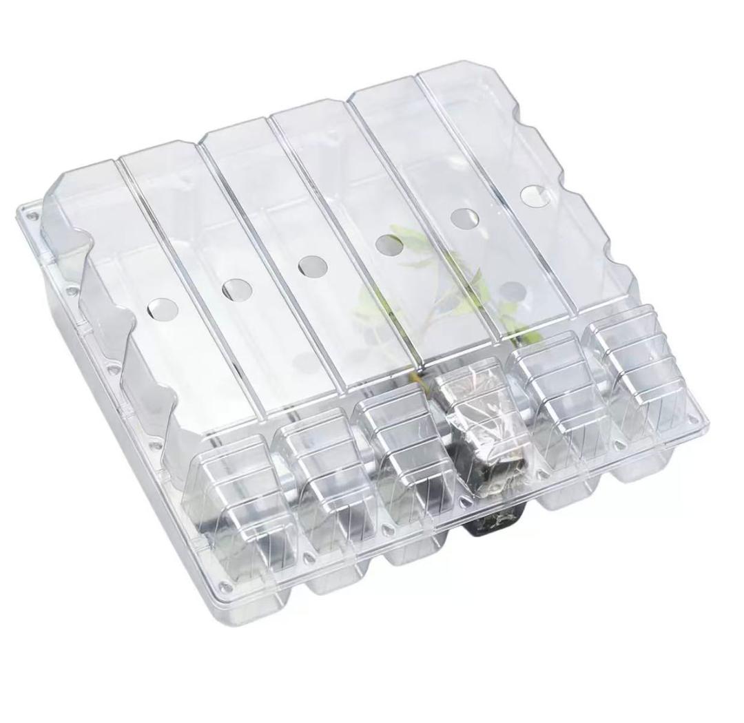 Seedling Protection Box (Multi-cell with Dome)